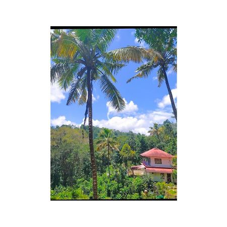 Athens Cottage Munnar Buitenkant foto