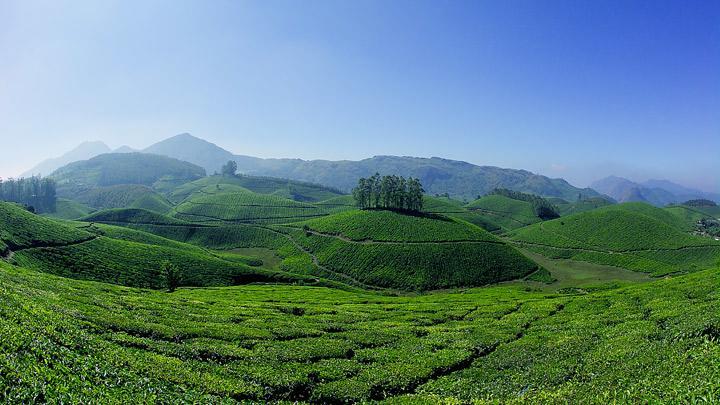 Athens Cottage Munnar Buitenkant foto