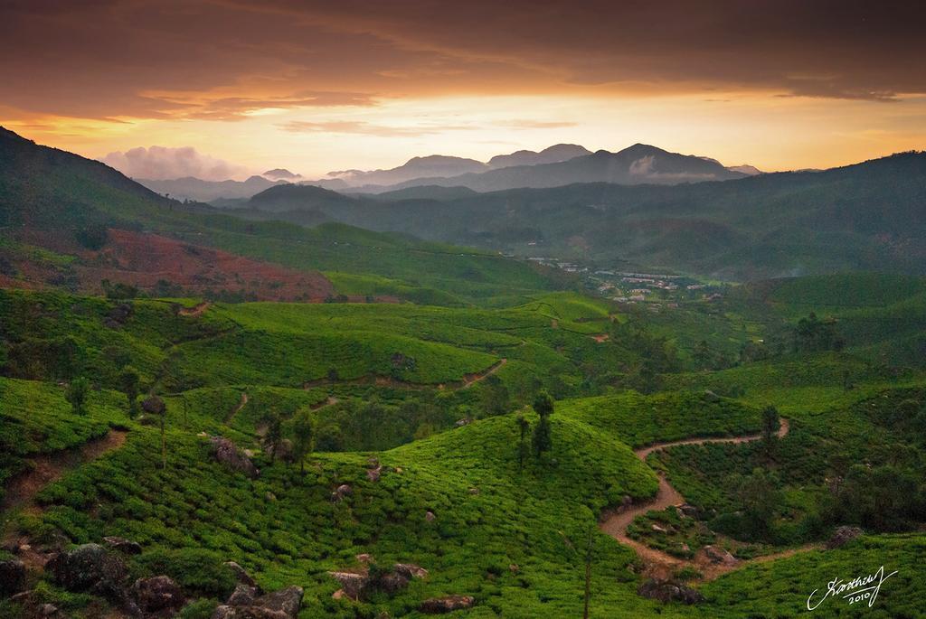 Athens Cottage Munnar Buitenkant foto