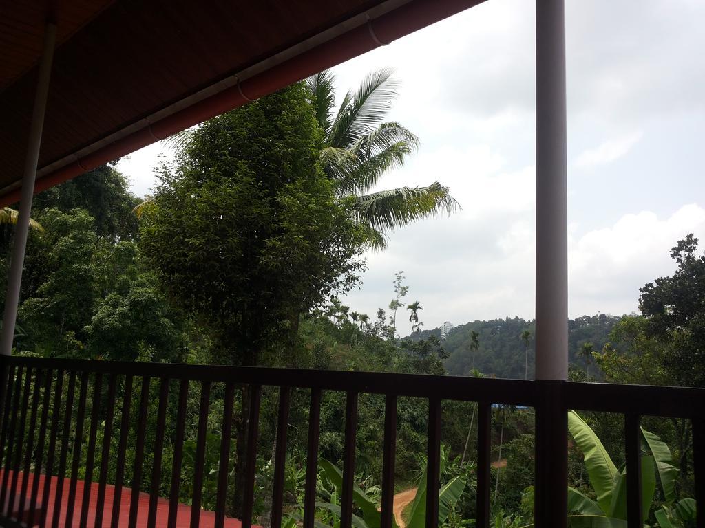 Athens Cottage Munnar Buitenkant foto