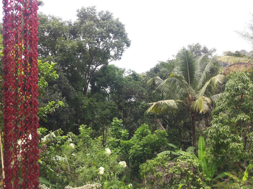Athens Cottage Munnar Buitenkant foto