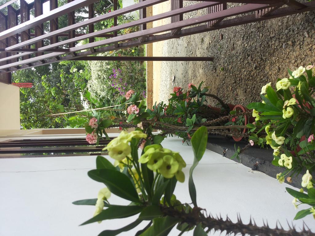 Athens Cottage Munnar Buitenkant foto