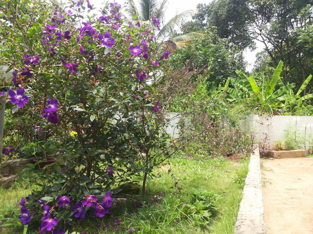 Athens Cottage Munnar Buitenkant foto